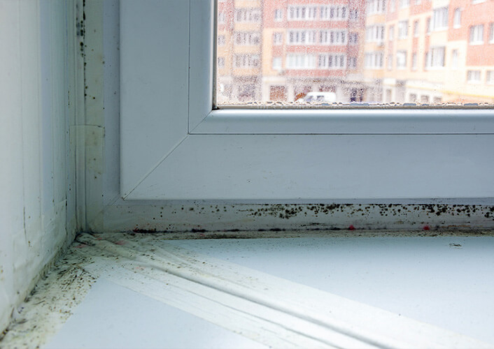 Schimmel kann nicht nur gesundheitsschädlich sein, sondern auch strukturelle Schäden verursachen. Mit unserer professionellen Schimmelbekämpfung entfernen wir nicht nur vorhandenen Schimmel, sondern sorgen auch für Maßnahmen zur Prävention, um zukünftige Probleme zu vermeiden.