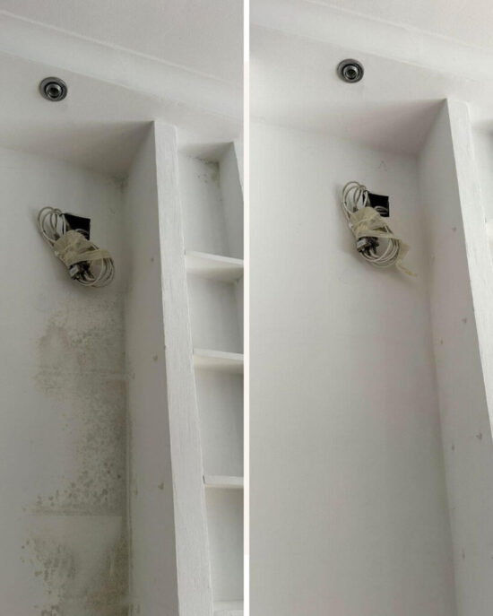 Schimmel-Sanierung in Duisburg