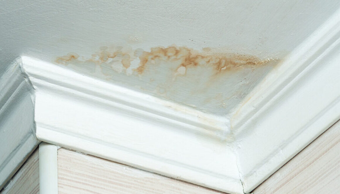 Schimmel Flecken an der Decke