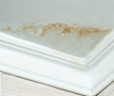 Schimmel Flecken an der Decke