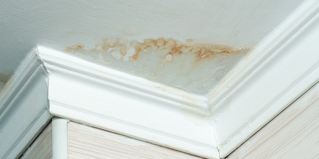 Schimmel Flecken an der Decke
